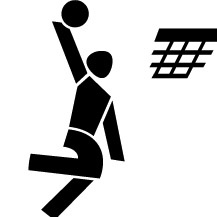 Basketball Icon