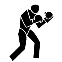 Boxen Icon