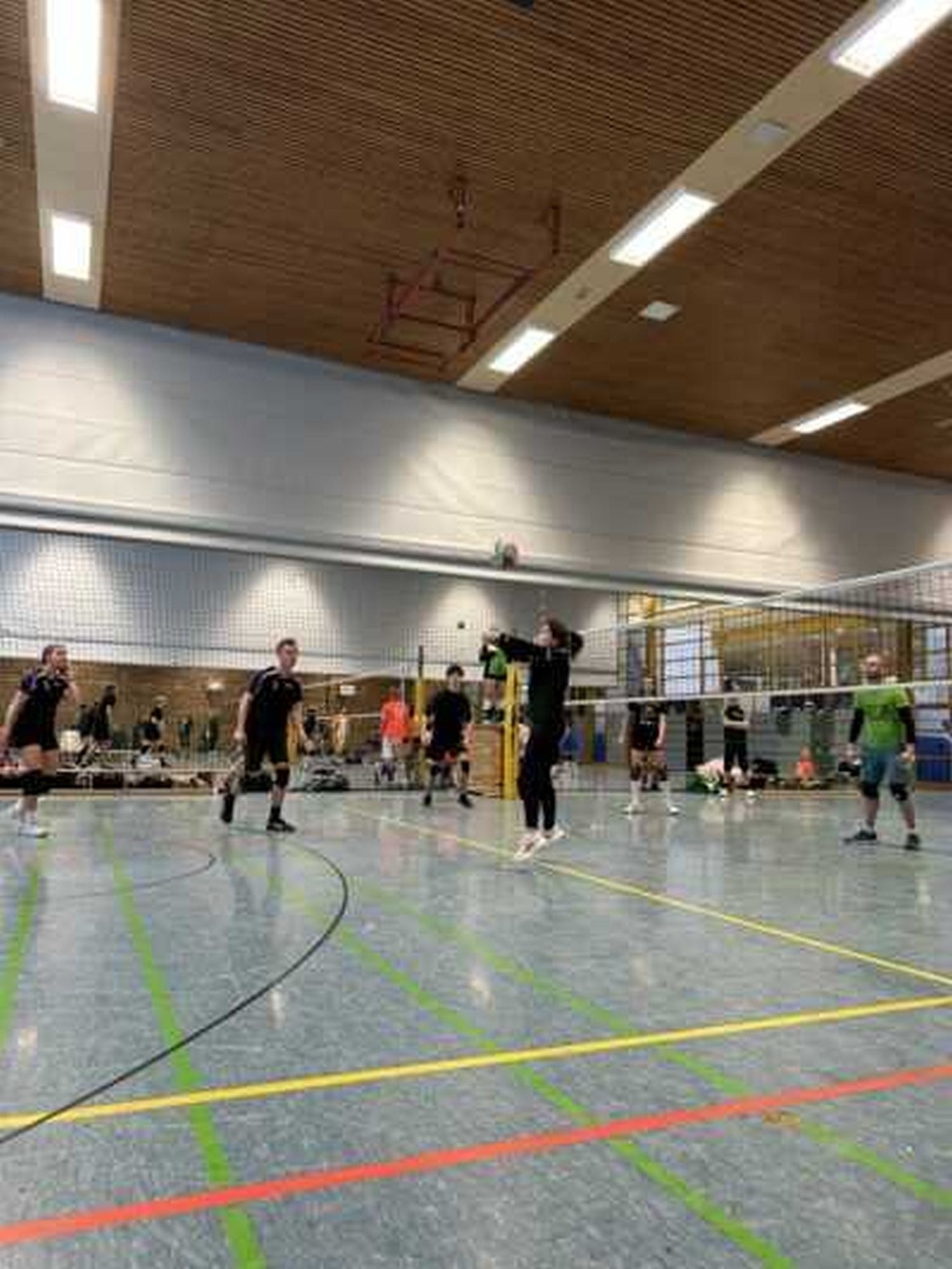 Galeriebild