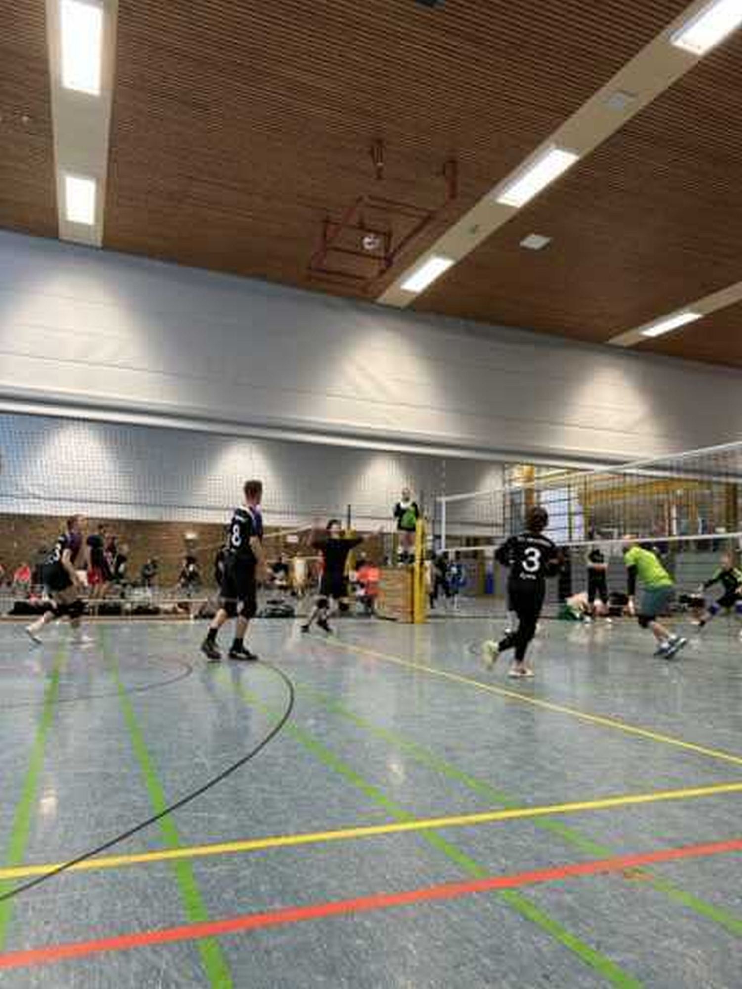Galeriebild